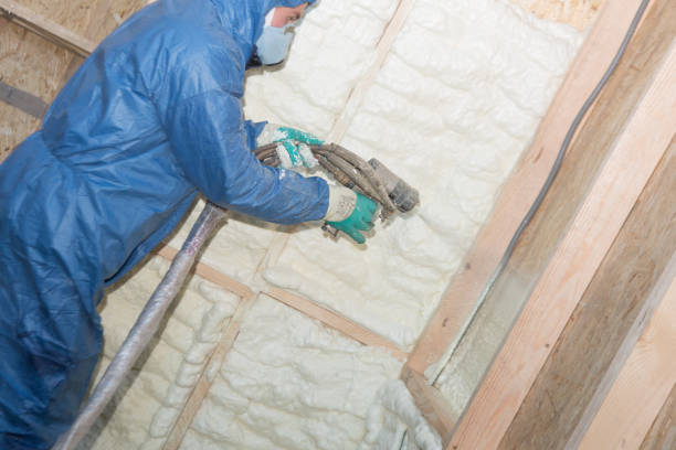 Best Eco-Friendly or Green Insulation Solutions  in Glennville, GA